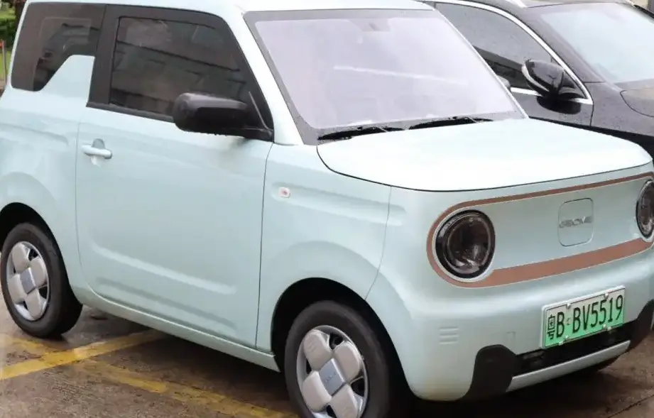 2022 Geometry Panda Mini 17.03 kWh (41 Hp) Electric