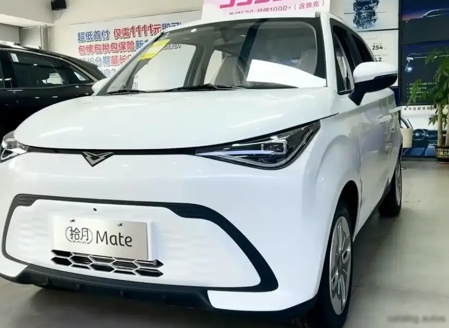 2024 Kaiyi Shiyue Mate 17.69 kWh (54 Hp) Electric