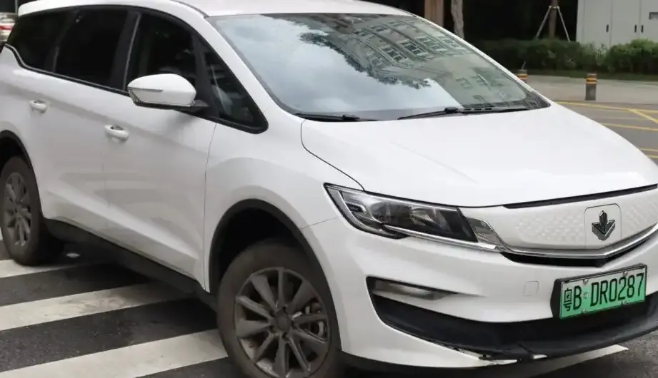 2022 Livan Maple 80V 50.4 kWh (136 Hp) Electric