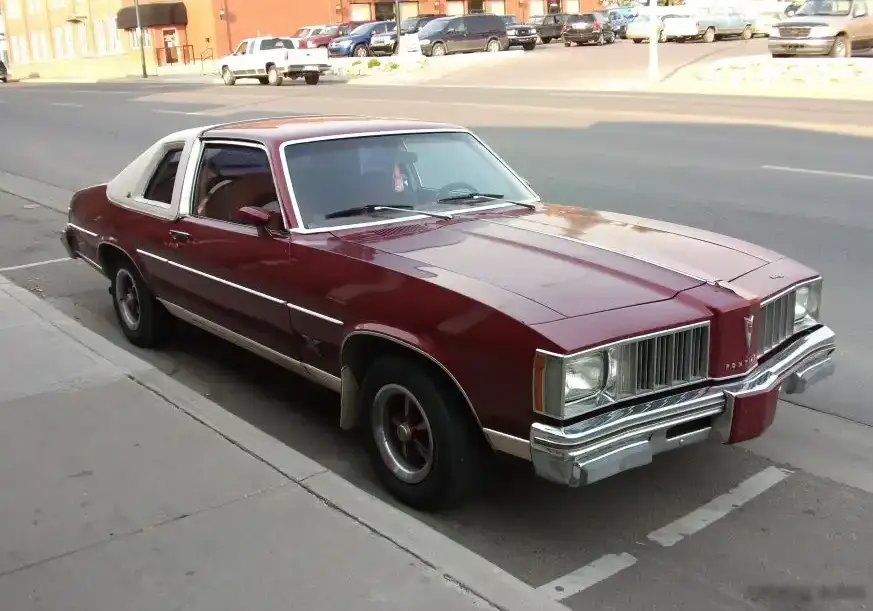 1979-1981 Pontiac Phoenix Coupe 2.8 (117 Hp)